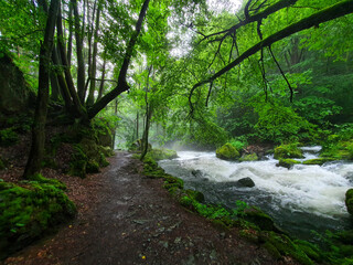 scenic panorama view of natural landscape under a cloudy sky
