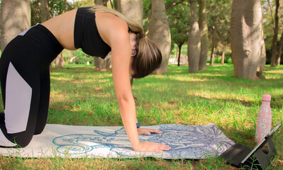 Horizontal image of a young girl doing the cat pose while she is relaxing outdoors in the park. Concept of outdoor pilates.