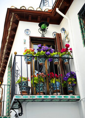 Balcony with flower pots in the picturesque Albaicín district in Granada, Andalusia, Spain. Architecture of the streets of Andalusia.