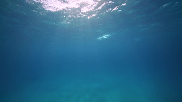 Beautiful light rays natural underwater background