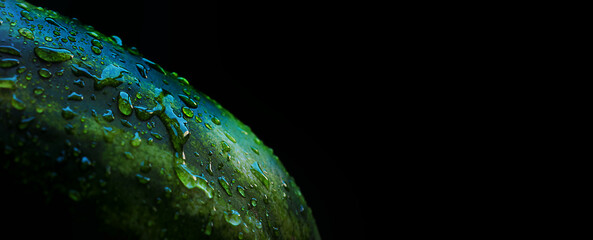 green watermelon with water drops on a black background