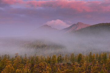Fog on the mountain slopes on an autumn morning