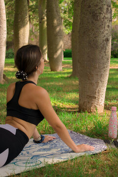 Vertical image of a young girl doing the cobra pose while she is relaxing outdoors in the park. Concept of outdoor pilates.