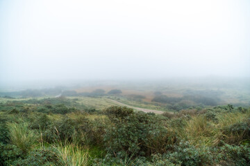 misty dune valley with road