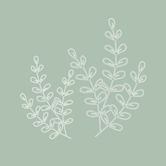 illustration graphic design floral nature background wallpaper spring summer fabric leaf print decoration sketch textile  beauty flower line art paper element flora drawing organic style tree 