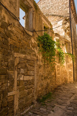 A derelict residential building in the historic medieval village of Buje in Istria, Croatia
