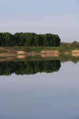 Obraz premium reflection of trees in the water