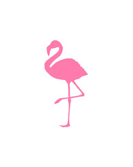 pink flamingo. vector silhouette of a bird