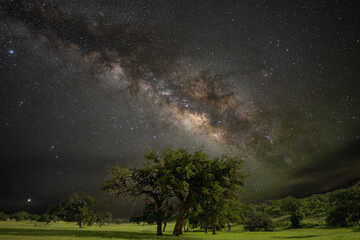 Fototapeta na wymiar Milkyway over a Tree
