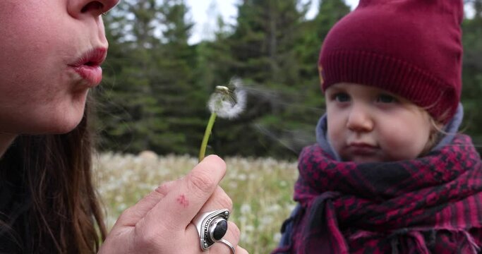 Close up shot of the face and mouth of a beautiful young woman, gently blowing on a dandelion, while her son watches with curiosity and awe.