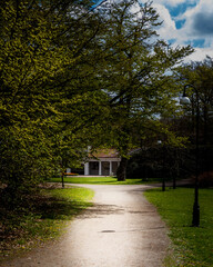 autumn in the park
