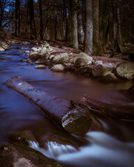 stream in the forest