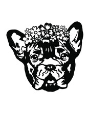 French bulldog