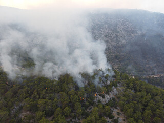 Summer forest fires. Smoke of a forest fire obscures the sun. Natural disasters. Bogsak, Mersin province, Turkey. Aerial view