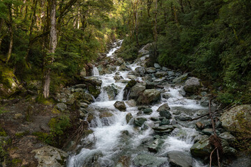 Fototapeta premium Roteburn track, river, morning New Zealand