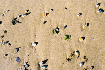 Fototapeta na wymiar Just a snap, a frame of summer. This photography a the beach draw the sand covered of rocks as bathroom carpet. Shot in Vendée, France.
