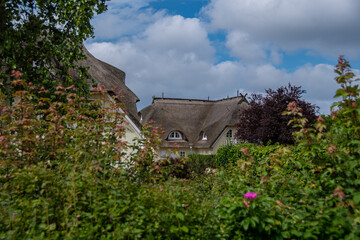 Fototapeta na wymiar idyllic thatched roof houses on the Fischland-Darß-Zingst peninsula