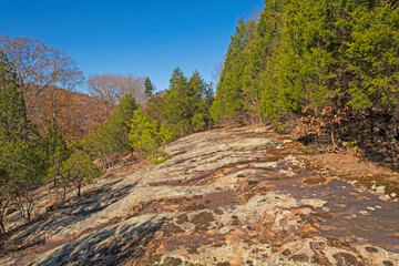 Bare Sandstone Ridge in Amogst the Trees