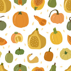 Colored pumpkin seamless pattern, autumn vegetable whole and slice.