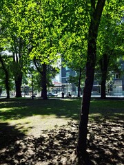 Naklejka premium park in autumn