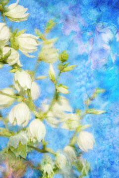 Painterly Artwork White Yucca Bell Flowers