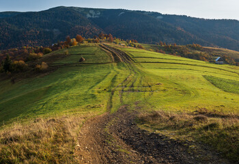 Autumn Carpathian Mountains and dirty countryside path, Ukraine.