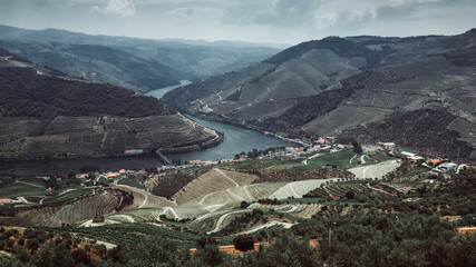 Fototapeta na wymiar Top view of Dour river and vineyards are on a hills at Douro Valley, northern Portugal.