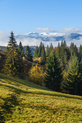 Fototapeta na wymiar Late autumn mountain morning scene with snow covered tops in far and foggy clouds in valleys. Picturesque traveling, seasonal, nature and countryside beauty concept scene. Carpathians, Ukraine.