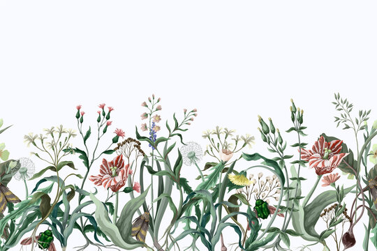 Border with wild thin flowers and insects. Trendy botanical print.
