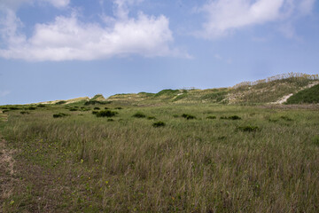 Fototapeta premium Large Sandunes on the Outer Banks