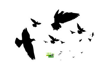A flock of flying birds. Vector illustration