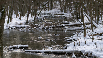 Rzeka Łyna zimą na Warmii i Mazurach