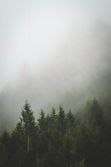 Obraz na płótnie Canvas mist in the mountains