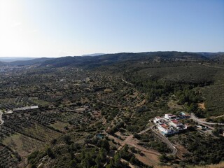 Fototapeta premium Paisaje españa árboles