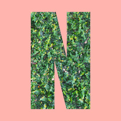 Alphabet letters of shape N in green leaf style on pastel pink background.