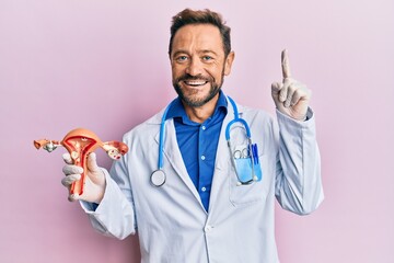 Middle age gynecologist man holding anatomical model of female genital organ smiling with an idea or question pointing finger with happy face, number one - obrazy, fototapety, plakaty