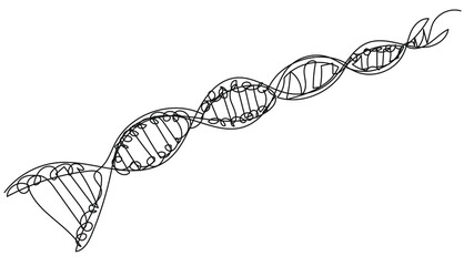 Abstract doodle dna chain on white background. Stock illustration of human gene.