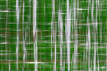 Green pattern background of abstract graphic lines.