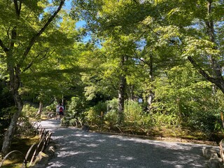 cycling in the park
