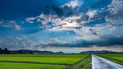 夏　夕立の後の絶景