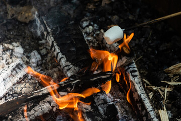 A person roasts a marshmallow over a campfire during the summer.