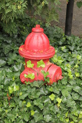 fire hydrant 