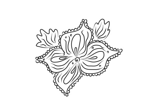 Flower, plant. Colouring book. Zentangle coloring pages. Art style, doodle for kids or adult. Vector illustration modern
