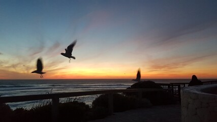 sunset at the beach © Leonie