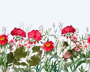 Deurstickers Border with geraniums and wild flowers. Trendy floral vector print. © Yumeee