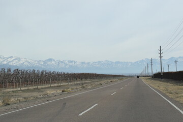 Fototapeta premium Mendoza, Argentina.
