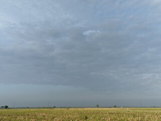 clouds over the field