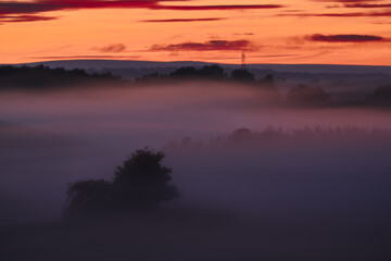 Fog