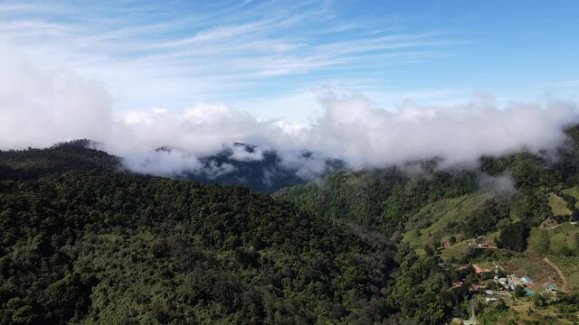 landscape over cloud forest and San Gerardo de Dota valley Costa Rica sunny day aerial