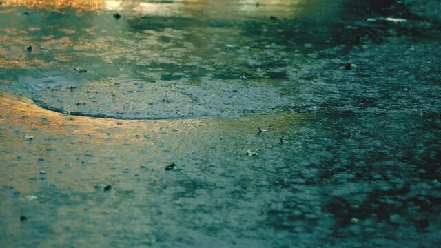 Hurricane downpour on a city street. Heavy rain with wind and a lot of precipitation. European climate. Summer evening. Cars and people in intense rain. Dnipro, Ukraine, circa July, 2021